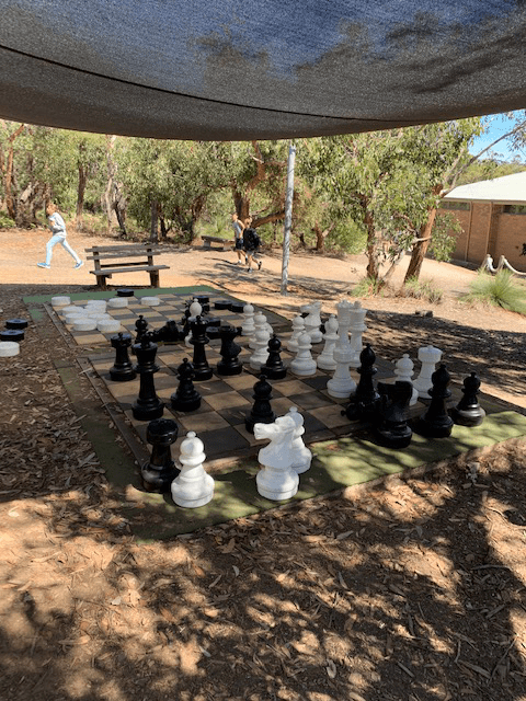 Burnside Camp chess board