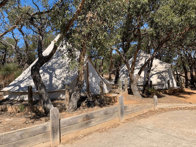 Burnside Camp tents
