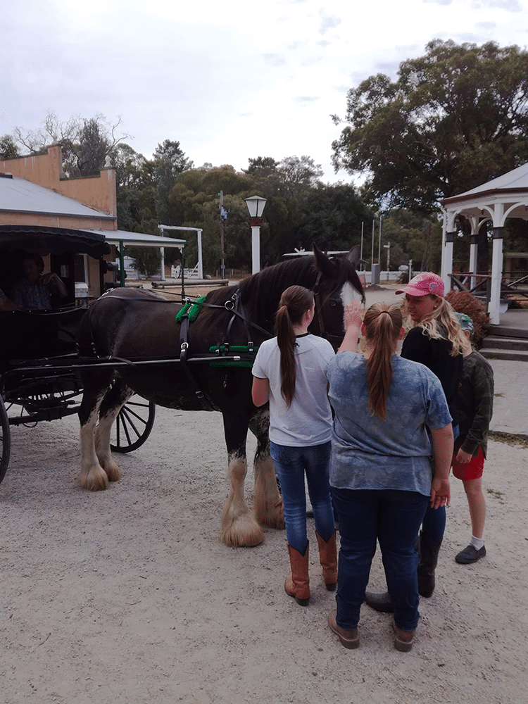 Mill Valley Ranch horse and wagon with young girls